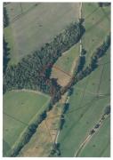 pronajem-zemedelskych-pozemku.jpg
